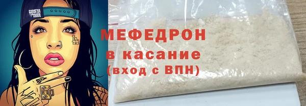 хмурый Аркадак