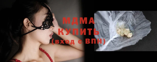 хмурый Аркадак