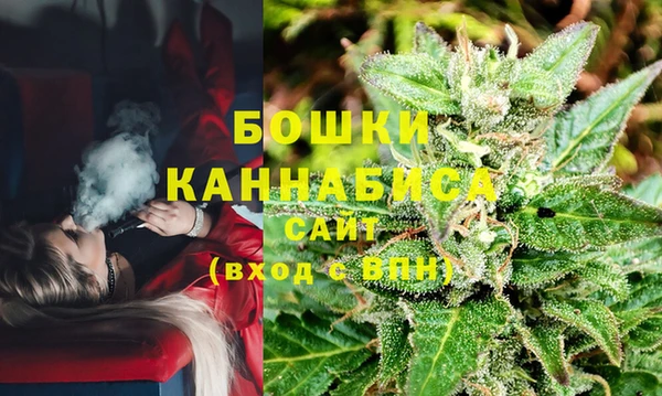 хмурый Аркадак