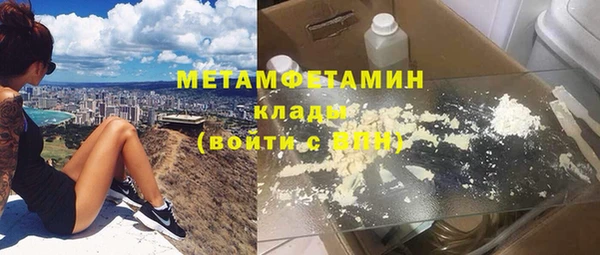 хмурый Аркадак