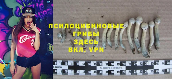 2c-b Арсеньев