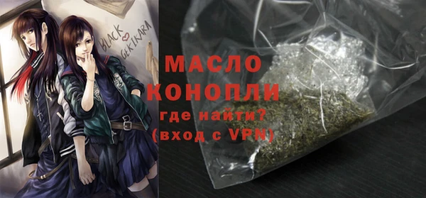 хмурый Аркадак